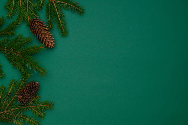 istock Christmas, winter composition. Fir branches with cones on a green background. Concept of Christmas, winter, new year. flat lay 1448368579