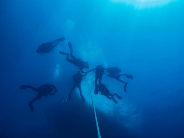 istock Safety stop at 5 meters 1448372181