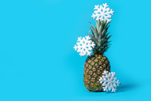 istock A whole pineapple on a bright blue background with hanging snowflakes, copy space. Pineapple like a Christmas tree 1448373183