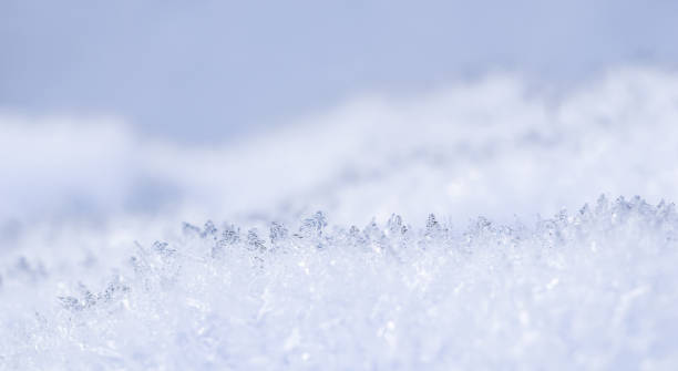 istock Fresh snow background. Natural winter backdrop. Texture in blue tones 1448374809