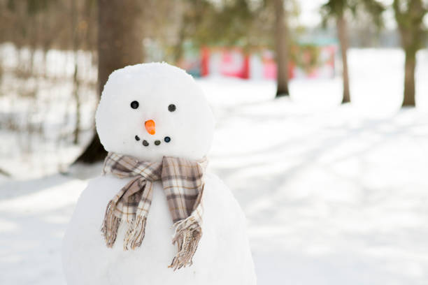 Smiling Snowman stock photo