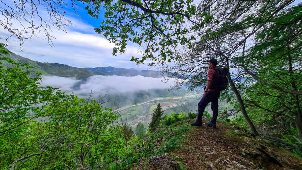 istock Mixnitz - View from mount Roethelstein in Styria, Austria. Bushland and Hills 1448377207