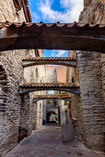 istock St. Catherine's passage in Tallinn old town, Estonia 1448380077