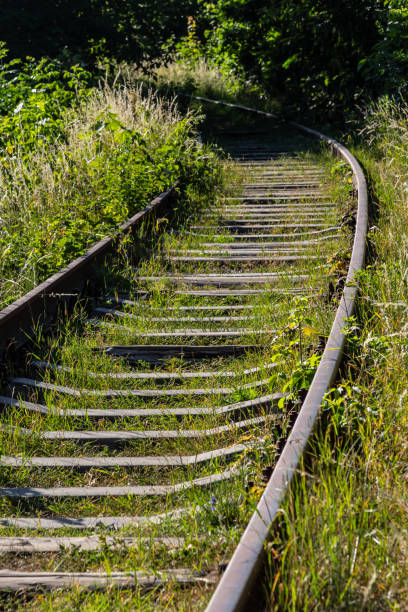 istock contrast rusty train railway in green grass overgrown 1448380914