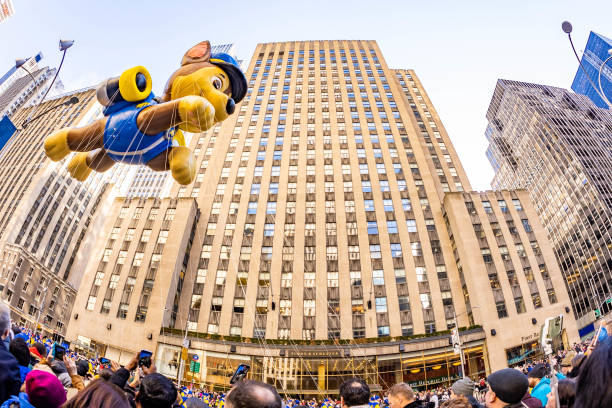 10 bildbanksfoton, bilder och royaltyfria bilder med Paw Patrol - iStock