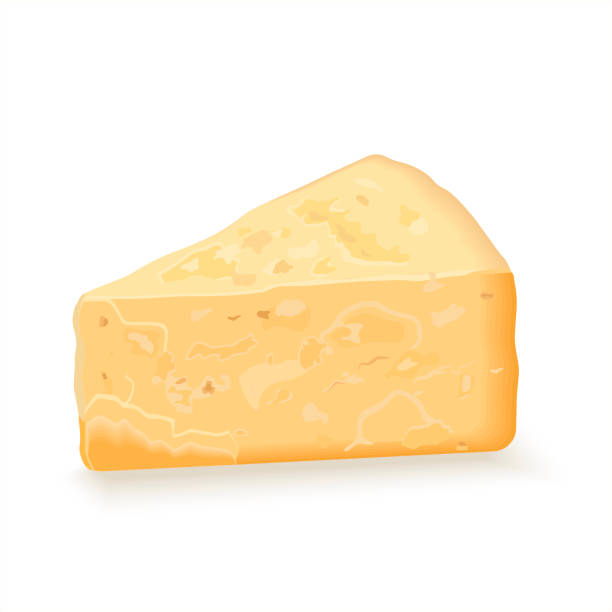 kuvapankkikuvitukset aiheesta viipale parmesanjuustoa, kolmion muotoinen pala kovaa juustoa. meijeri- ja juustotuotteet. kova juusto pecorino. realistinen vektorikuva eristettynä valkoisella taustalla - parmesan cheese