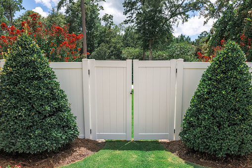 The opening to a white PVC tall fence for a backyard with sculpted and landscaped bushes on each side