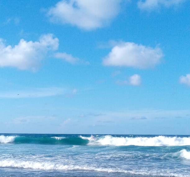 istock Isabella Puerto Rico Surf Compeition 1448387099