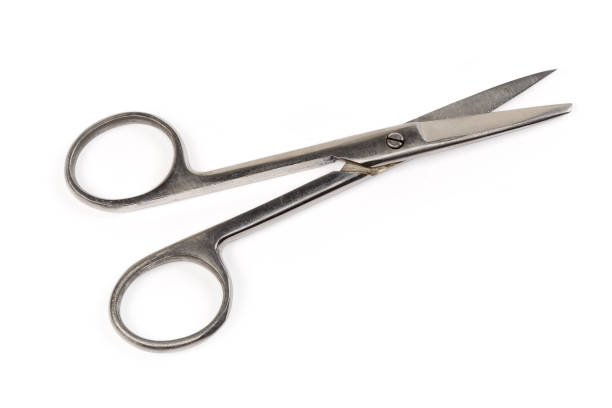 istock Stainless steel surgical scissors on a white background 1448390437
