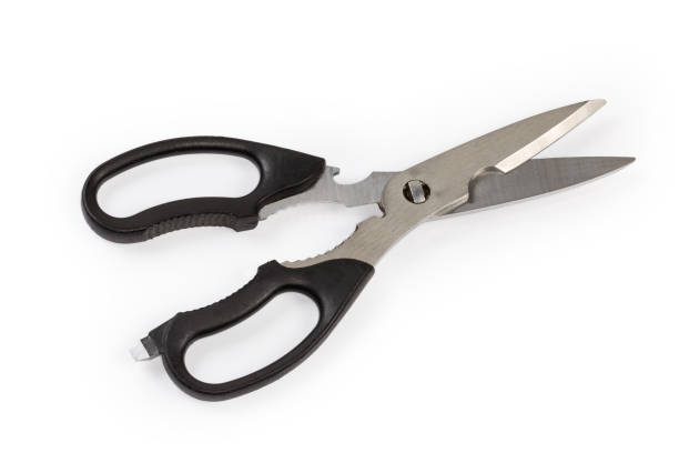 istock Stainless steel kitchen scissors on a white background 1448390442