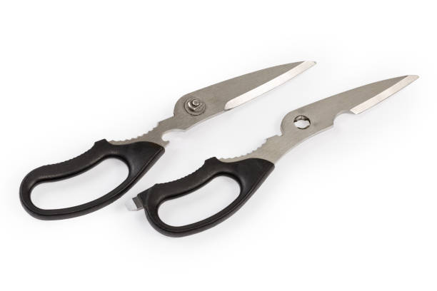 istock Two halves of detached kitchen scissors on a white background 1448390513