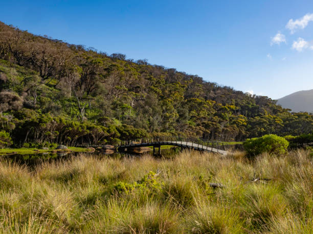 istock Wooden bridge over river 1448391158