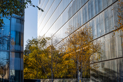 Trees in front of the sun-drenched glass facade of an office building.