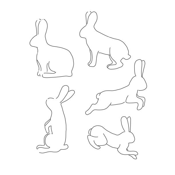 Free Rabbit Profile Pattern 1,800+ Rabbit Profile Stock Photos, Pictures & Royalty-Free Images - iStock