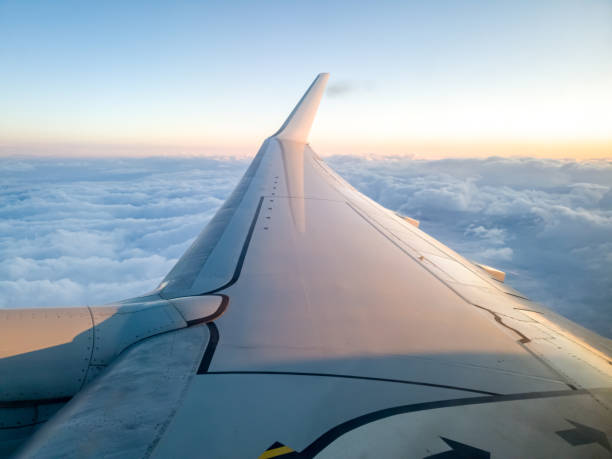 istock Airplane wing over clouds and sunny blue sky at sunset. 1448393774