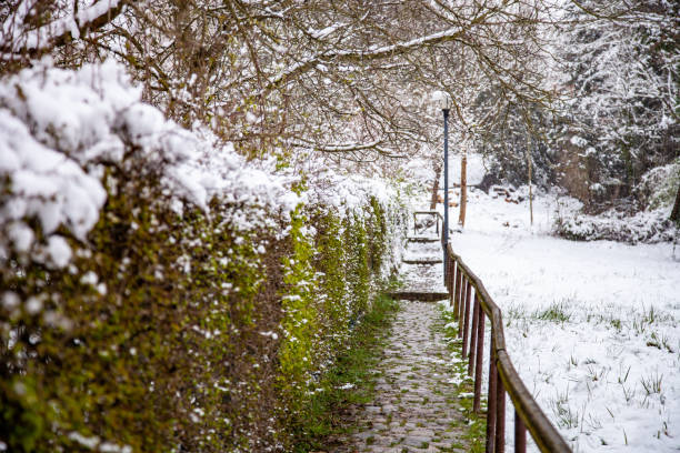 istock A snowy path in a winter park 1448394676