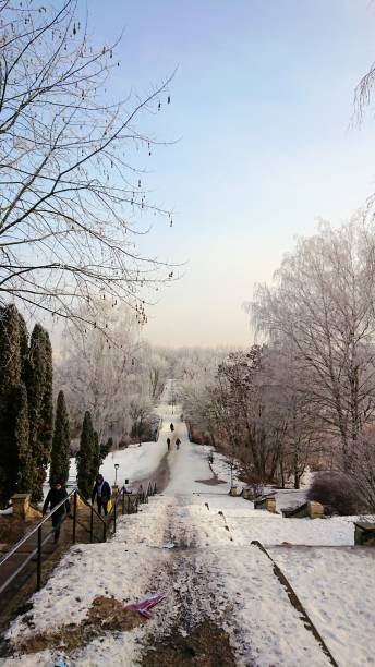 istock Beautiful view of snow-covered winter park 1448396101