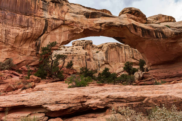 Natural Sandstone Arch in Capital Reef National Park in Utah Natural Sandstone Arch in Capital Reef National Park in Utah capitol reef national park stock pictures, royalty-free photos & images