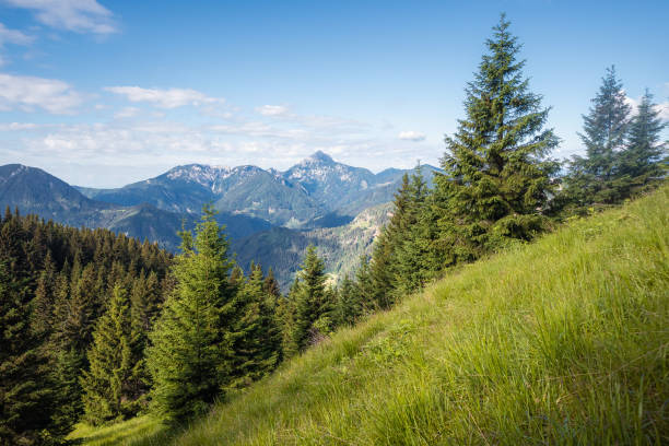 istock Beautiful mountain view at sunny day 1448397250