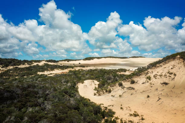 istock Fraser Island in Queensland 1448398978