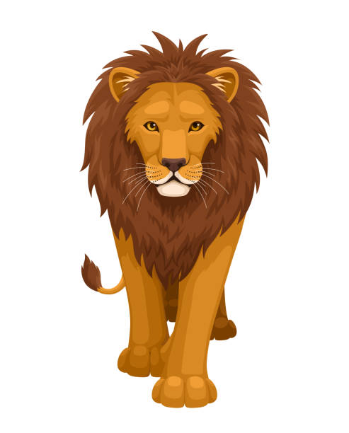 ilustrações de stock, clip art, desenhos animados e ícones de lion. front view. - lion