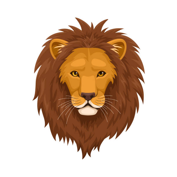ilustraciones, imágenes clip art, dibujos animados e iconos de stock de cabeza de león. diseño plano. - mane
