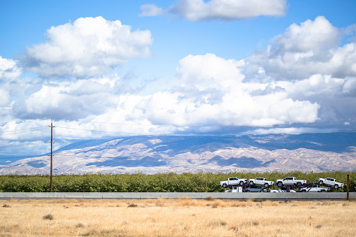 Industrial big rig car hauler semi truck with chrome parts transporting cars on special hydraulic modular semi trailer running on the highway road along the orchards in California