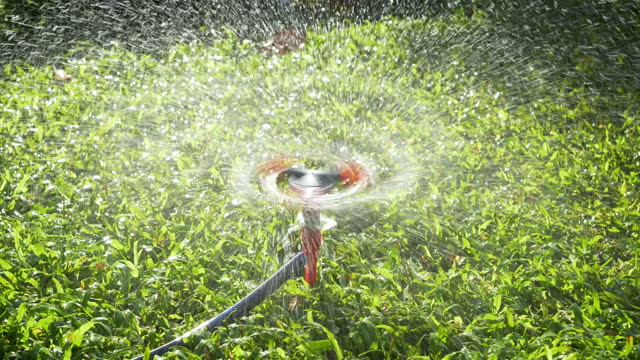 Sprinkler placed in the middle of the lawn.