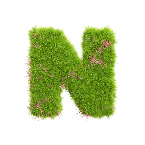 istock 3d rendering of grass letters alphabet,the word n. 1448409276