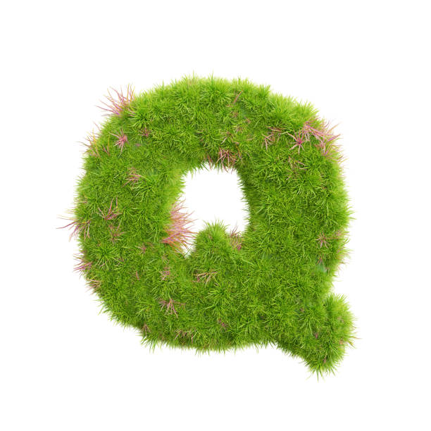 istock 3d rendering of grass letters alphabet,the word q. 1448409277