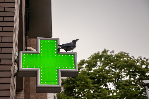 Picture of a green cross indicating a pharmacy at sunset, lit by neon and LED lights. This cross is a standard sign for pharmacists in most of Europe and neigbouring areas