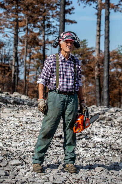Mature male Forester portrait