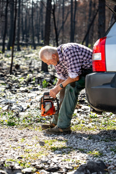 istock Forester resting after a long working day in the devastated area by a forest fire 1448411713