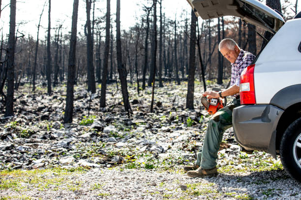 Forester resting after a long working day in the devastated area by a forest fire