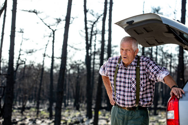 istock Forester resting after a long working day in the devastated area by a forest fire 1448411719