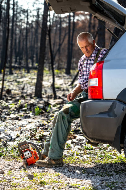 istock Forester resting after a long working day in the devastated area by a forest fire 1448411724