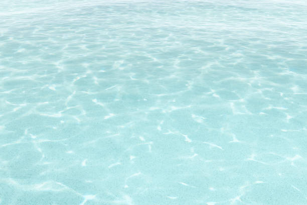 istock The water here is crystal clear 1448412811