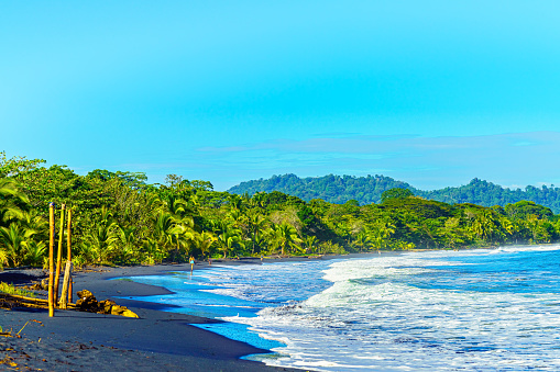 Playa Negro beach, tropical beach with beautiful vegetation and black sand, Punta Uva, Puerto Viejo, Costa Rica.