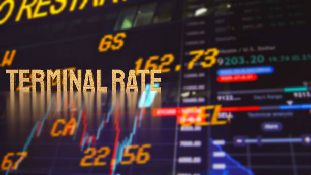 istock The gold terminal rate on business background  3d rendering 1448429824