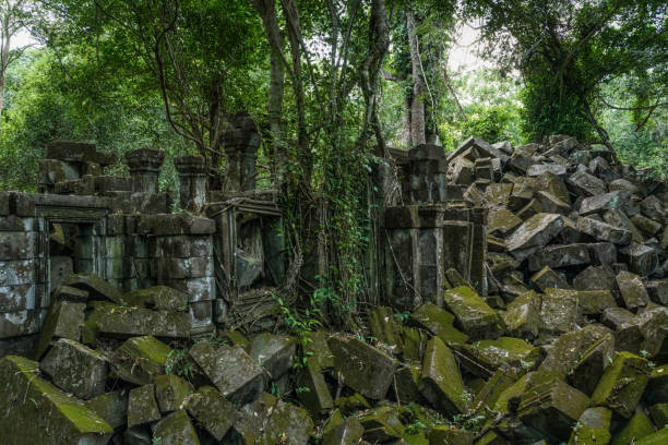 Giant tropical rainforest trees growing over the Beng Mealea Temple Ruins and Stones. A ‚more unknown‘ temple from the Angkor Wat Time Period in Northern Cambodia. Beng Mealea was originally built as a Hindu temple, but some newer carvings depict Buddhist motifs. The history of the temple is unknown and it can be dated only by its architectural style, identical to Angkor Wat to the 12th century. 102 MegaPixel Hasselblad X2D Photo. Beng Mealea, Northern Cambodia, Siem Reap, Cambodia, South East Asia.