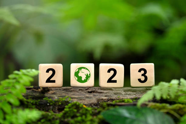 istock 2023. environmental sustainability target. Carbon offset, neutrality strategies. 2023 written on wooden cubes with green world icon, green community. Goals, plan, opportunity, green business, social. 1448435748