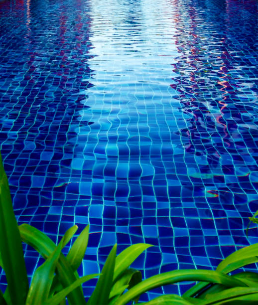 istock The pool has white reflections from above,with blue tiled floors in front of it with green leaves 111 1448442040