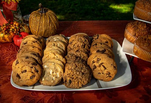 Various cookies on a tray on an orange fall colored table cloth at a park at a picnic
