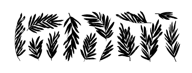 Palm leaves silhouettes isolated on white background. Hand drawn palm branches collection. Sketch style tropical leaves drawn by brush. Abstract plant black ink elements. Monochrome vector clip arts.