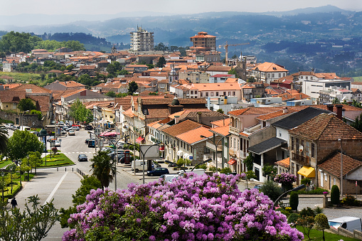 Townscape view from Santuário do Sameiro and public park,  Penafiel, Portugal. Flowerbed in the foreground.