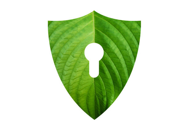Green shield protects nature and protects the environment on white background.