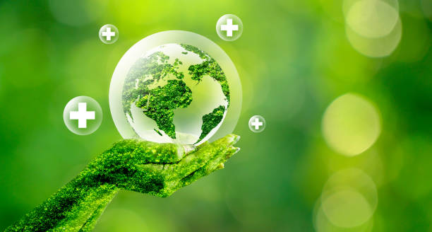 Eco-Friendly Practices in Healthcare | Sustainability Eco-Friendly Practices in Healthcare | Sustainability