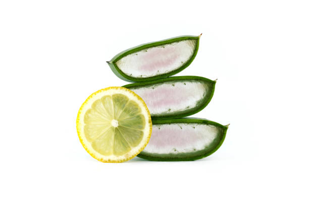 istock Sliced Aloe Vera leaf and lemon isolated on white 1448451019