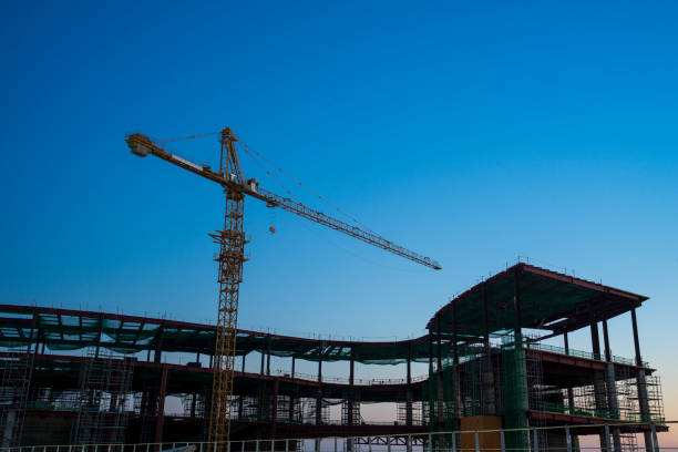 istock Crane in Wolmido Island, Incheon, Korea 1448451252