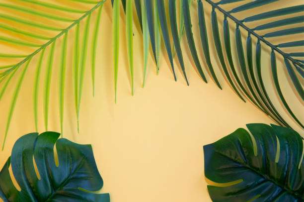 istock Palm tree's leaves on orange background 1448453743